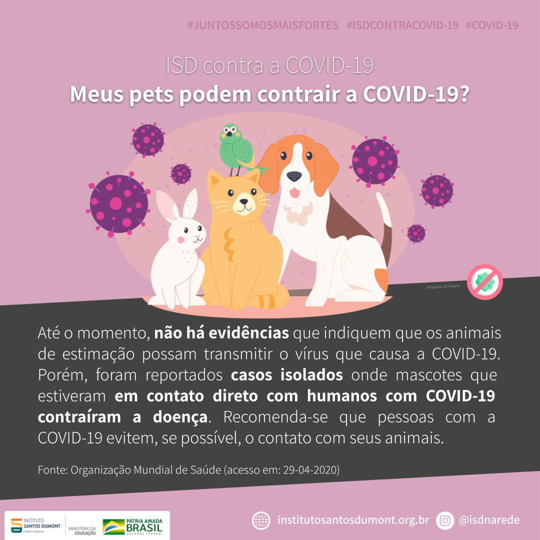 Série ISD contra a Covid-19 explica se animais de estimação podem contrair a doença